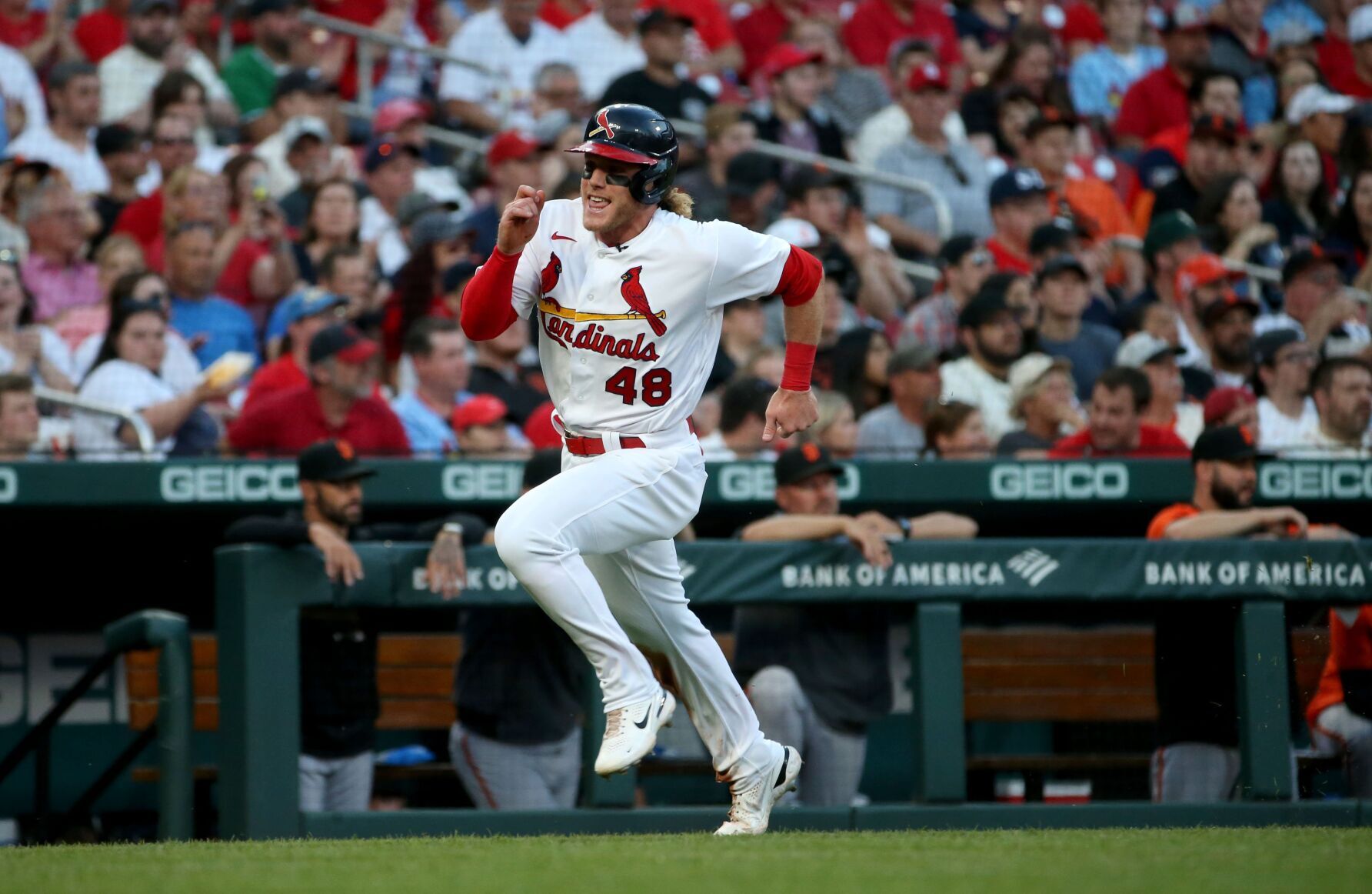 St. Louis Cardinals V San Francisco Giants